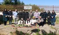 Visit the Some Sara cohort center