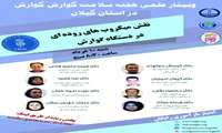 برگزاری وبینار علمی هفته سلامت گوارش در گیلان